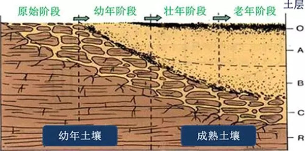 土壤養分檢測儀工作原理、技術和方法